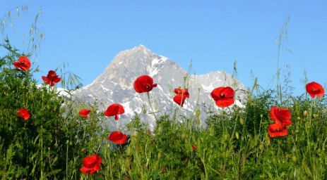 Gran Sasso Teramo 